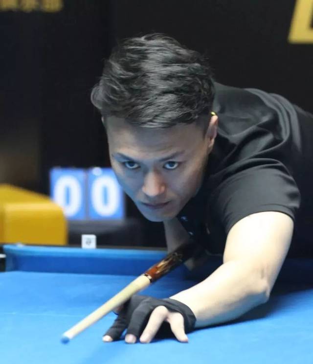 养的投入 养的投入